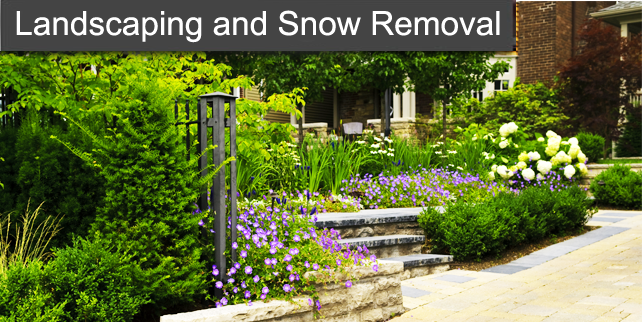 Landscape and Snow Removal